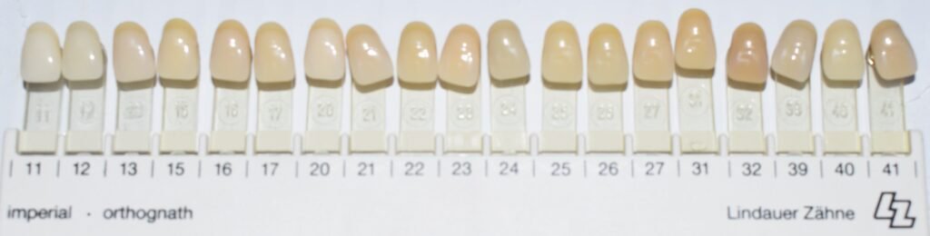 Guía de color dental utilizada para valorar tonos y manchas en los dientes